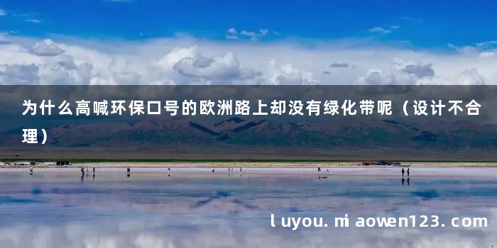 为什么高喊环保口号的欧洲路上却没有绿化带呢（设计不合理）