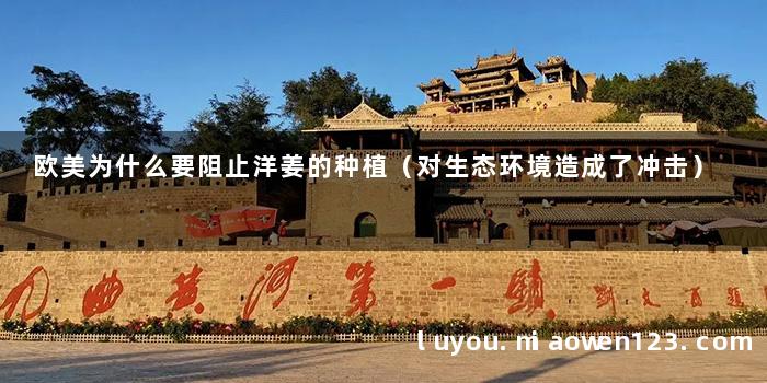 欧美为什么要阻止洋姜的种植（对生态环境造成了冲击）