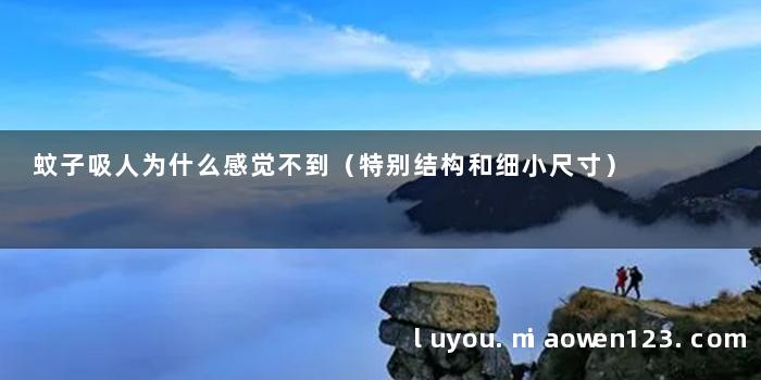 蚊子吸人为什么感觉不到（特别结构和细小尺寸）